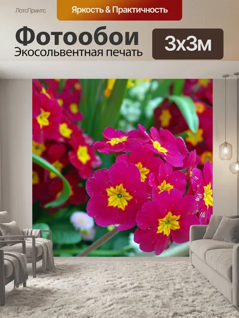 Фотообои Цветок