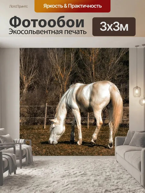 Фотообои Лошадь