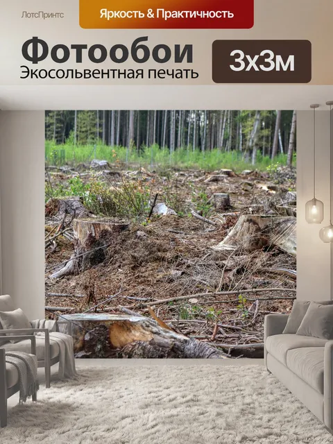 Фотообои Лес