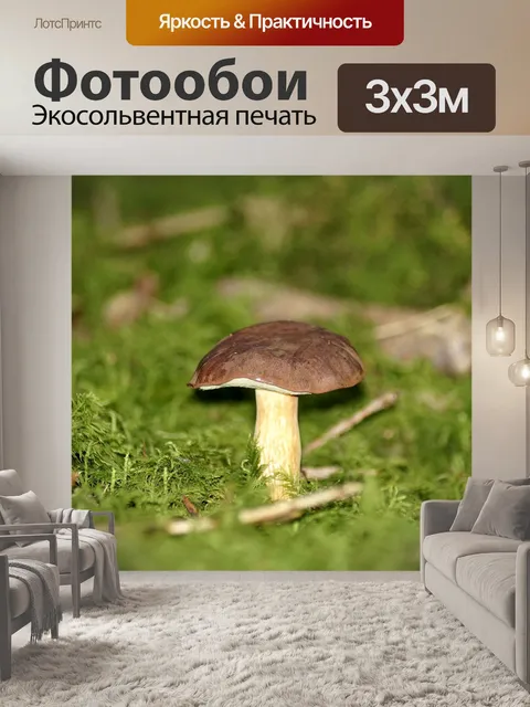Фотообои Сбор