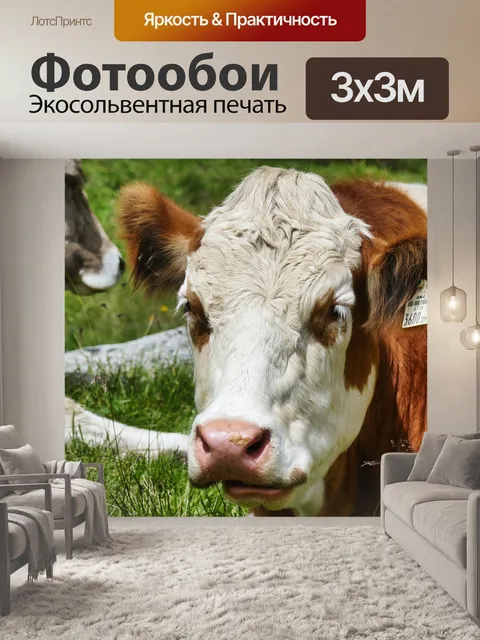 Фотообои Корова