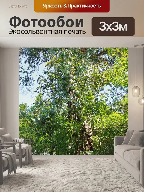 Фотообои высокое дерево с яркой листвой