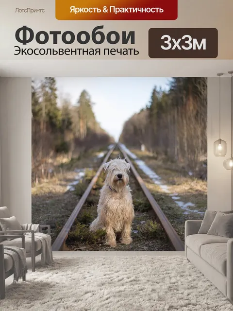 Фотообои Собака