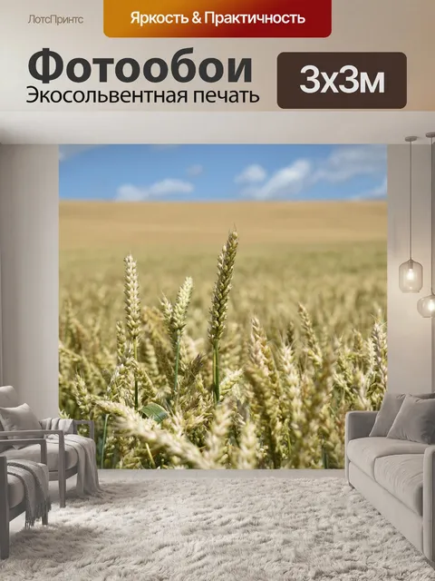 Фотообои Поле