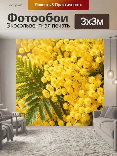 Фотообои Желтая мимоза крупным планом