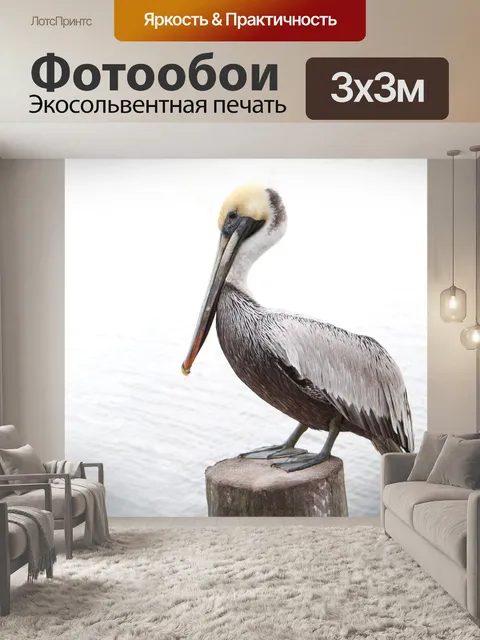 Фотообои Коричневый пеликан