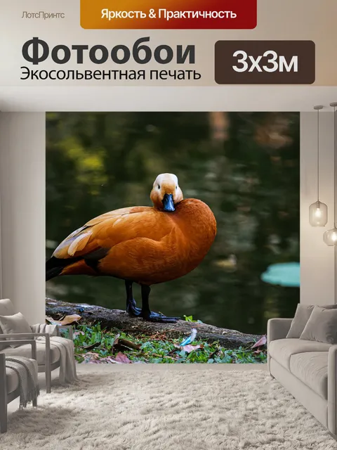 Фотообои Птица