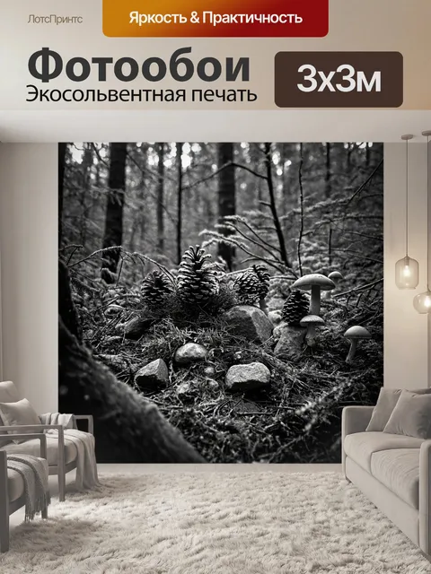 фотообои лес в стиле черно-белый: уютный уголок леса