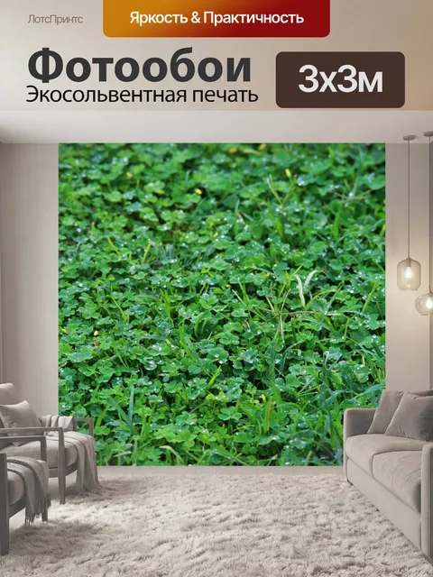 Фотообои газон с каплями дождя