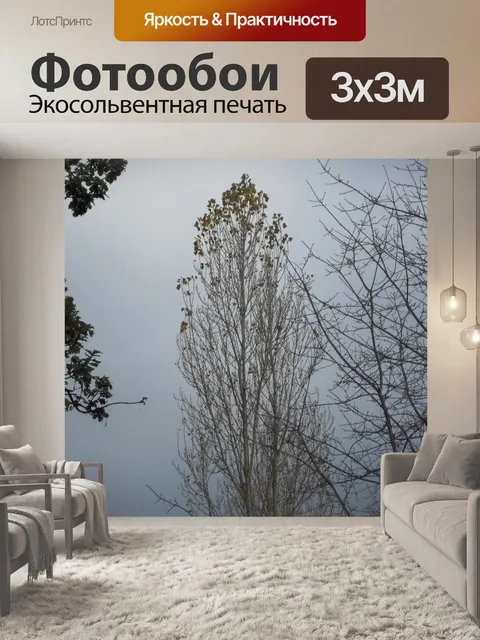 Фотообои деревья против серого неба