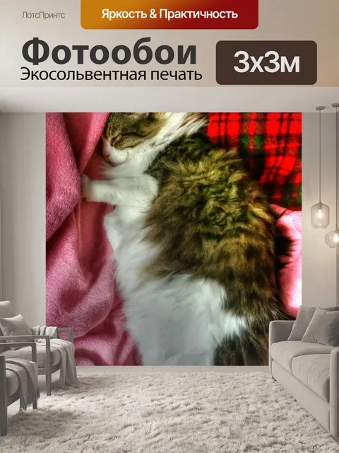 Фотообои Пушистый кот