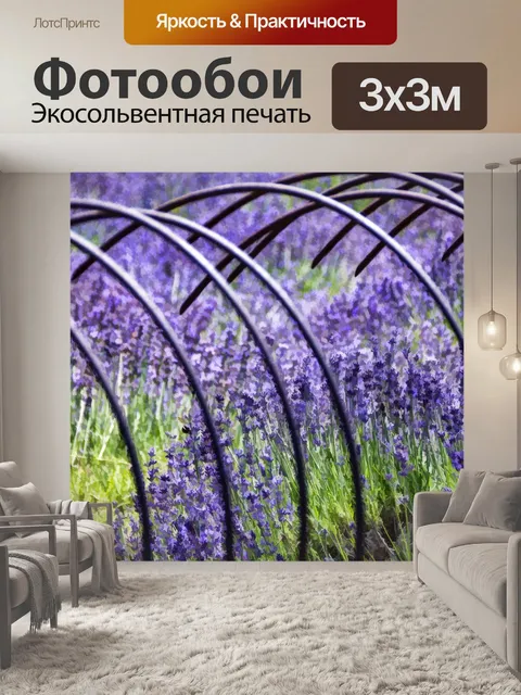 Фотообои Лавандовое поле