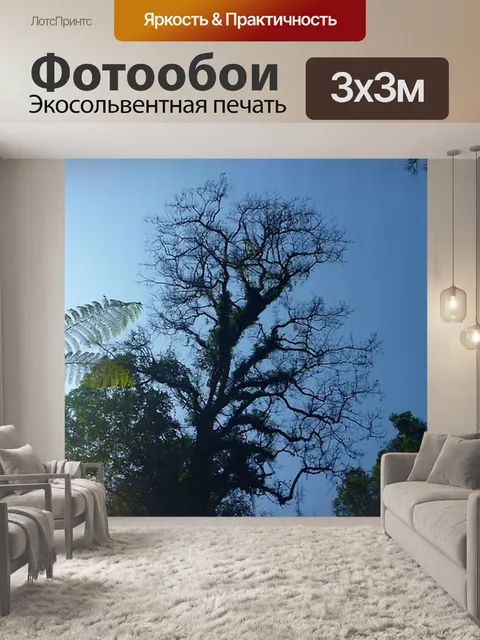 Фотообои Лес