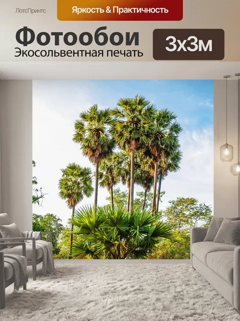 Фотообои Сахарная пальма