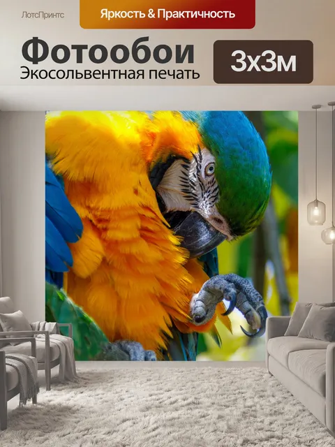 Фотообои Ара
