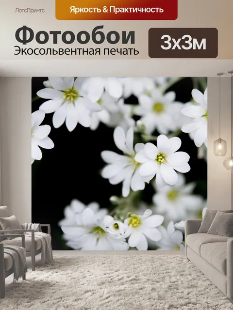 Фотообои Белый
