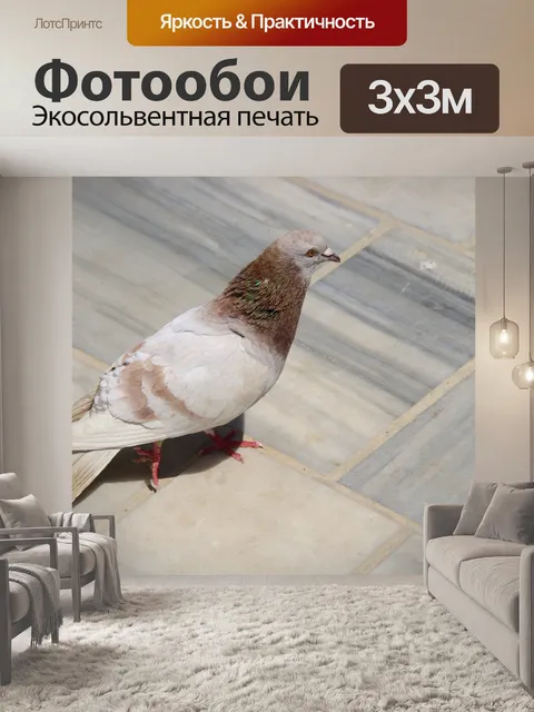 Фотообои Уличный голубь на мраморном полу
