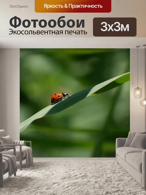 Фотообои Божья коровка