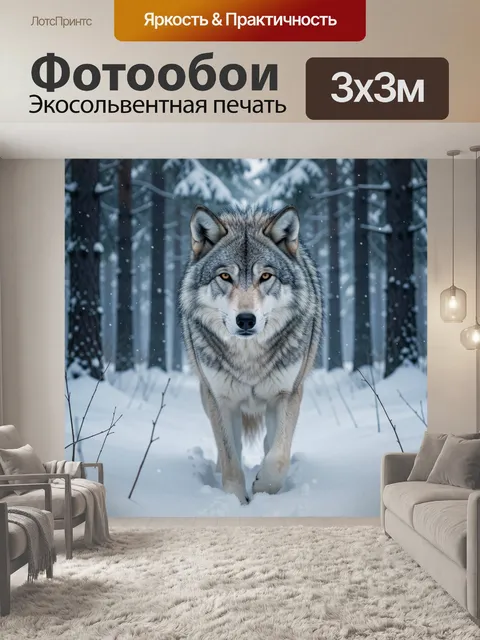 Фотообои Серый волк в зимнем лесу