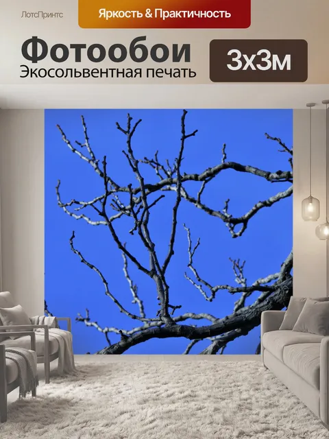 Фотообои солнечный свет на голых веток