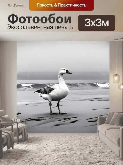 Фотообои белый гусь, яркий и контрастный, стоит на берегу серого, туммистого океана
