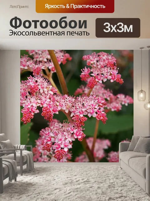 Фотообои Щит лист