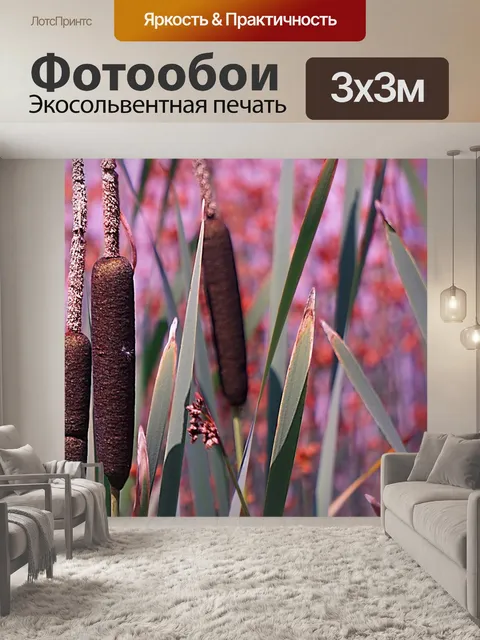 Фотообои Тростник