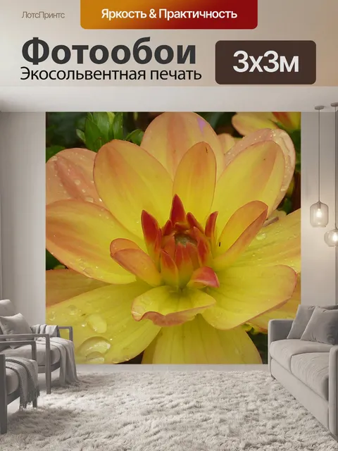 Фотообои Цветок