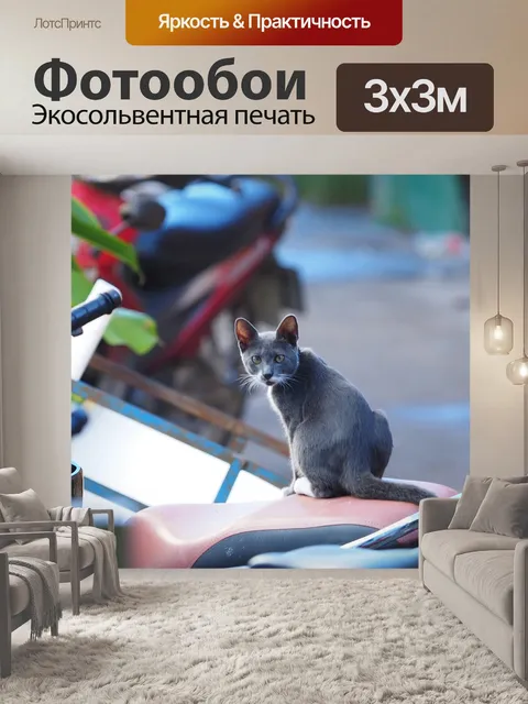 Фотообои Кошка