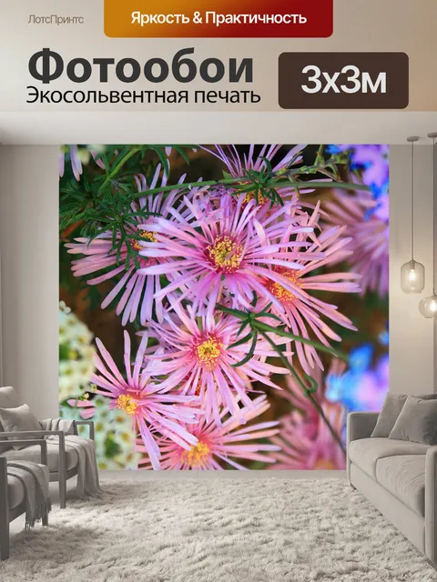 Фотообои розовые vygies в саду