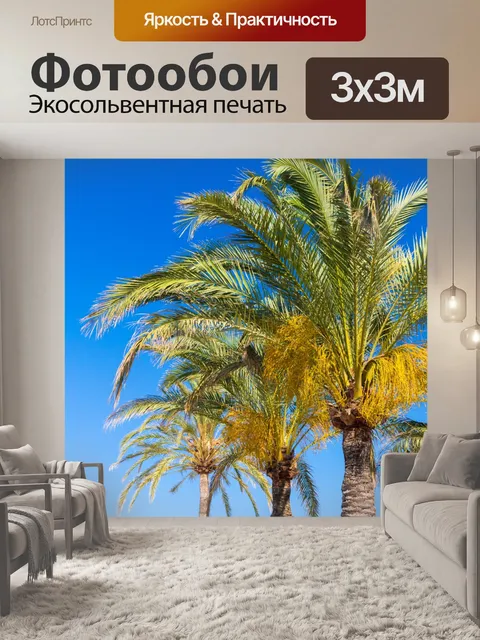 Фотообои Пальмы и голубое небо