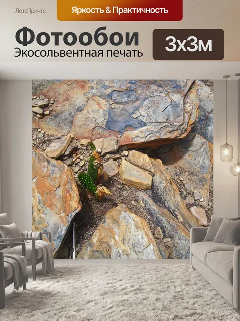 Фотообои колючая груша между каменными плитами