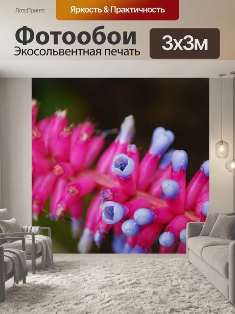 Фотообои Розовый