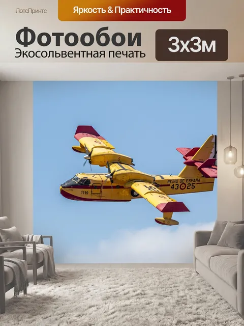 Фотообои Canadair