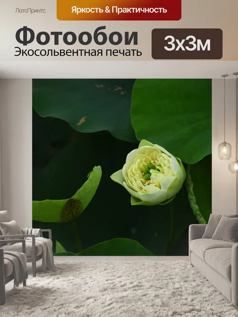 Фотообои Золотой лотос