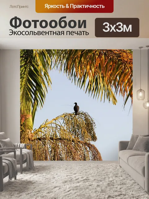 Фотообои Птица