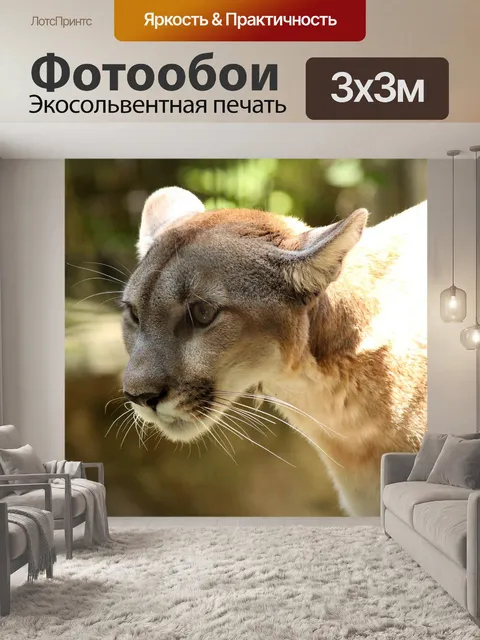 Фотообои Пума