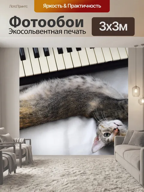Фотообои Кошка