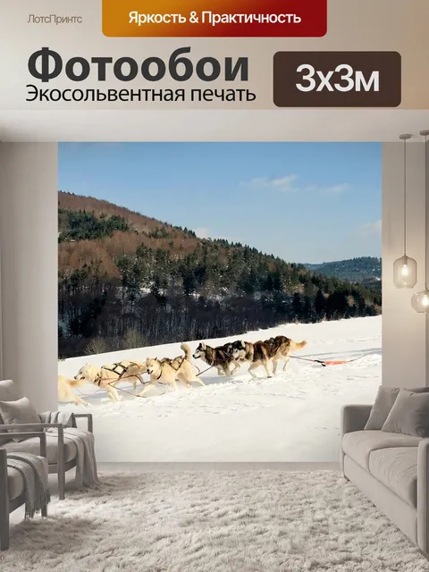 Фотообои Зимы