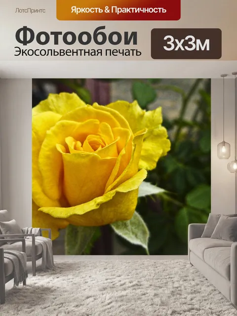 Фотообои Желтая роза