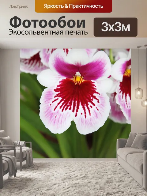 Фотообои розовые орхидеи белой