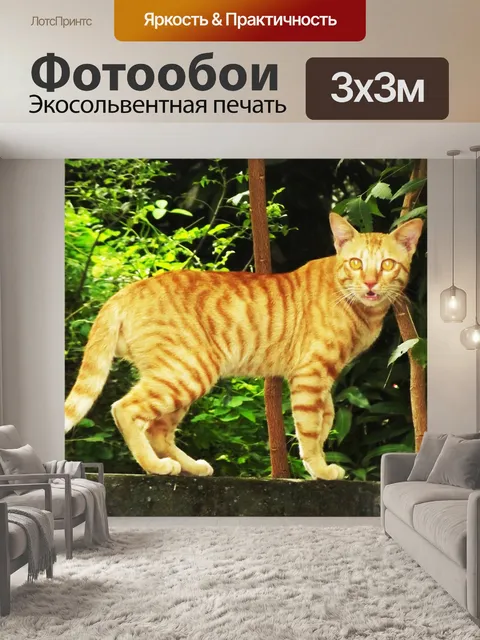 Фотообои Коричневая кошка