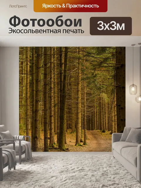 Фотообои Лес