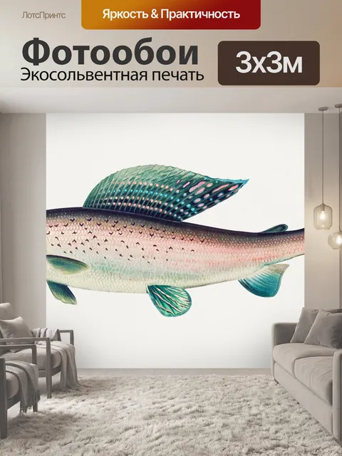 Фотообои Рыба хариус старинный плакат