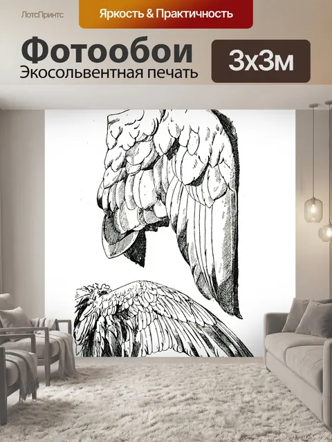 Фотообои Винтажная иллюстрация крыльев птиц