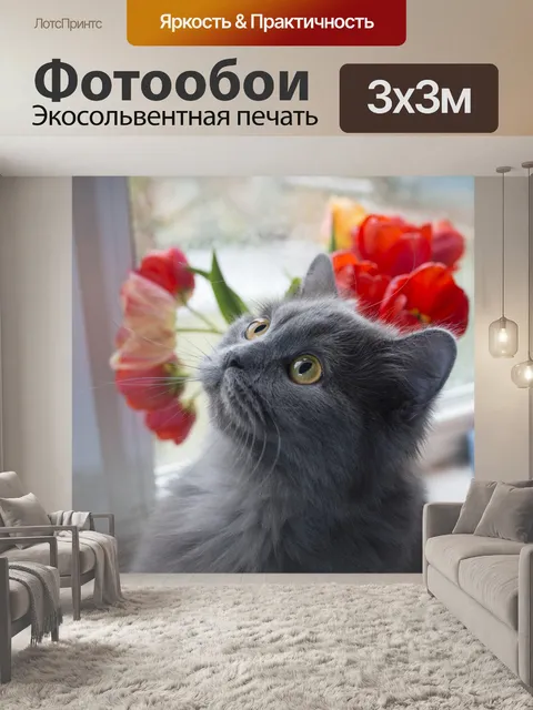 Фотообои Кошка