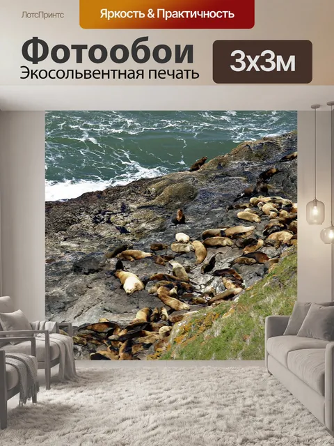 Фотообои Уплотнения