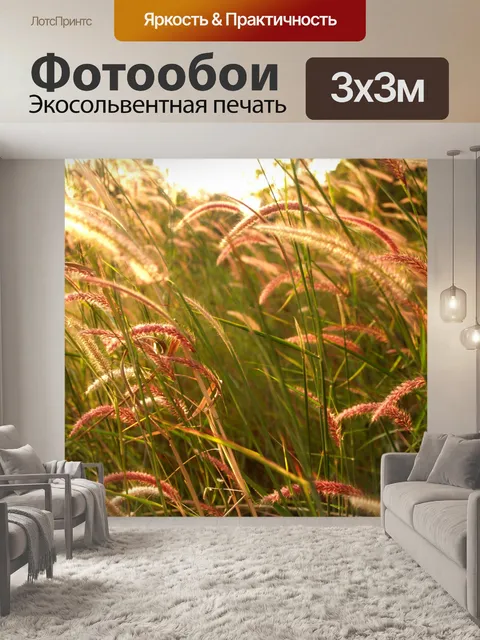Фотообои Цветки одичалые Стоковая Фотография
