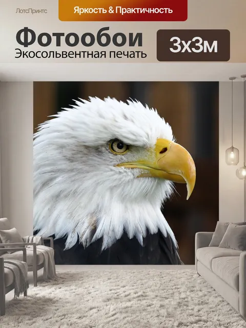 Фотообои Лысый орел