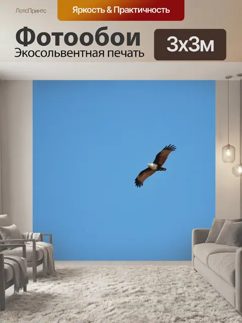 Фотообои Орел на пляже